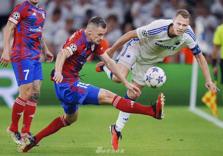 场稳定性的 场稳定性的